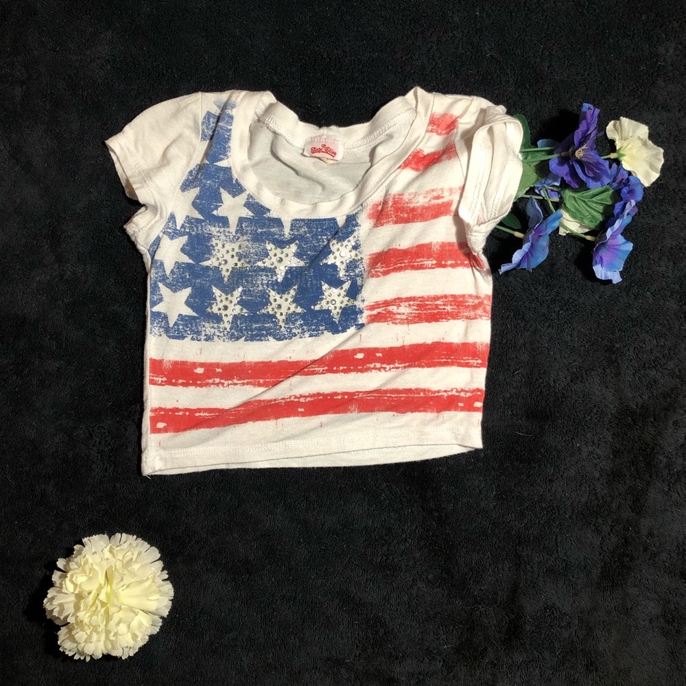 Cute 4th of July crop top